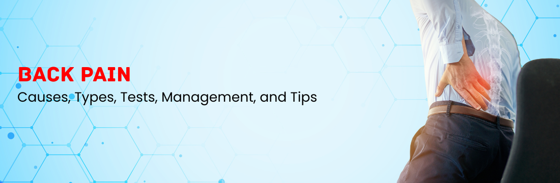 Back Pain: Causes, Types, Tests, Management, and Tips